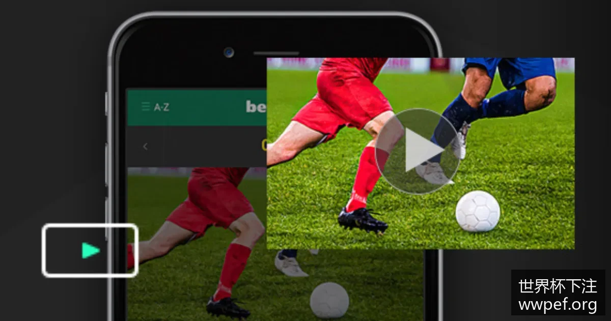 阿根廷战胜,法国夺冠,梅西助攻两,世界杯下注官网,世界杯下注攻略,世界杯投注选择,世界杯竞猜方法,2026世界杯下注
