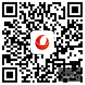 帕尔默受伤,无缘英格兰,阵容,choice真人,choice真人官网,choice真人app,choice真人直播